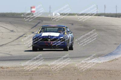 media/Sep-28-2024-24 Hours of Lemons (Sat) [[a8d5ec1683]]/1140am (Outside Grapevine)/